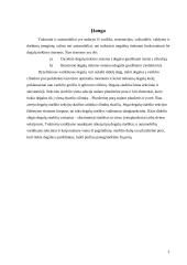 Plunžerinė pora 3 puslapis