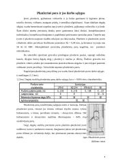 Plunžerinė pora 4 puslapis