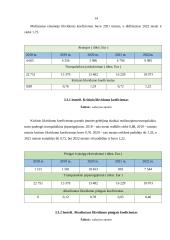 Įmonės AB „ Grigeo “ analizė 13 puslapis