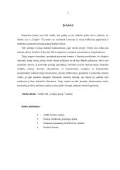 Įmonės AB „ Grigeo “ analizė 2 puslapis