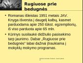 Džeromas Selindžeris ,,Rugiuose prie bedugnės”. Veikėjų paveikslai. Egzistencializmas 7 puslapis