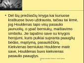 Džeromas Selindžeris ,,Rugiuose prie bedugnės”. Veikėjų paveikslai. Egzistencializmas 9 puslapis