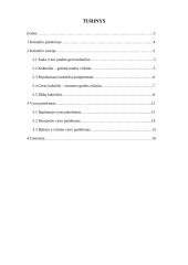 Pobūvio organizavimas: kokteiliai