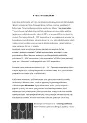 Pobūvio organizavimas: kokteiliai 11 puslapis