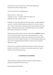 Pobūvio organizavimas: kokteiliai 12 puslapis