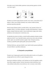 Pobūvio organizavimas: kokteiliai 13 puslapis