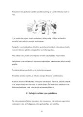 Pobūvio organizavimas: kokteiliai 14 puslapis