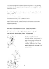 Pobūvio organizavimas: kokteiliai 15 puslapis