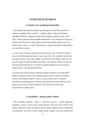 Pobūvio organizavimas: kokteiliai 4 puslapis