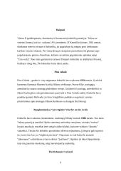 Pobūvio organizavimas: kokteiliai 9 puslapis