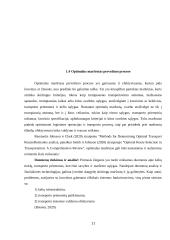 Pervežimo proceso optimizavimas 10 puslapis