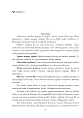 Pervežimo proceso optimizavimas 13 puslapis
