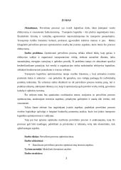 Pervežimo proceso optimizavimas 2 puslapis