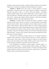 Pervežimo proceso optimizavimas 6 puslapis