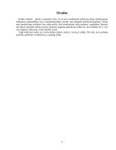 Pokalbiai telefonu, laiškai lietuvių kalbos etikete 9 puslapis