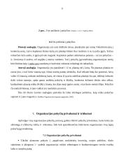 Pokyčiai organizacijoje 9 puslapis