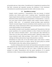 Referatas apie spausdintuvus 10 puslapis