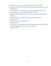 Referatas apie spausdintuvus 11 puslapis
