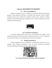 Referatas apie spausdintuvus 2 puslapis