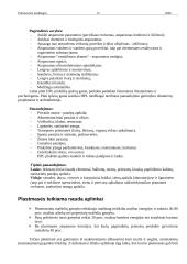 Polimerinės medžiagos 15 puslapis