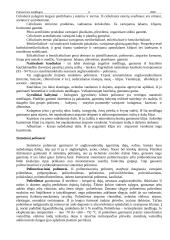 Polimerinės medžiagos 6 puslapis