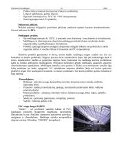 Polimerinės medžiagos 10 puslapis