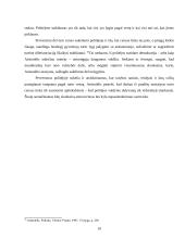 Politėja ir geriausios santvarkos problema 10 puslapis