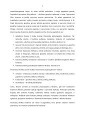 Finansų rinkų tipai. Rašto darbas 8 puslapis