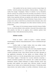 Politikos mokslo pagrindai 4 puslapis
