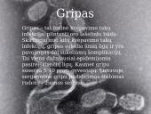 Gripas