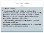 Autorių teisės. Licencijavimas. Elektroninė valdžia 2 puslapis