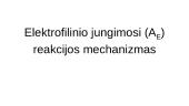 Organinės chemijos reakcijų radikalinis ir elektrofilinis mechanizmai 15 puslapis