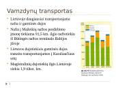Lietuvos transportas (pristatymas) 13 puslapis