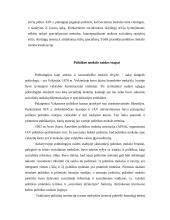 Politikos mokslas — socialinis mokslas 14 puslapis