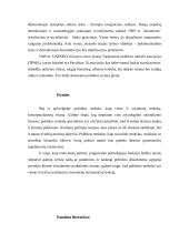 Politikos mokslas — socialinis mokslas 17 puslapis