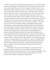 Asmens ir jo vertybių išbandymo vaizdavimas XX a. vidurio katastrofų laikotarpio literatūroje 3 puslapis