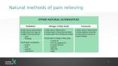 Physiological Processes of Body: Pain 18 puslapis
