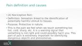Physiological Processes of Body: Pain 4 puslapis