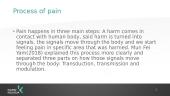 Physiological Processes of Body: Pain 7 puslapis
