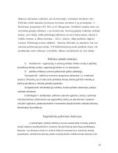 Politikos mokslo formavimasis, struktūra bei funkcijos 19 puslapis