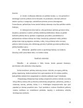 Politikos mokslo formavimasis, struktūra bei funkcijos 20 puslapis