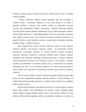 Politikos mokslo formavimasis, struktūra bei funkcijos 6 puslapis