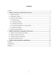 Politikos mokslo kaip socialinio mokslo samprata 2 puslapis