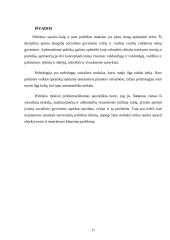 Politikos mokslo kaip socialinio mokslo samprata 17 puslapis