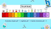 pH skalė 5 puslapis