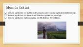 Semeru ugnikalnio išsiveržimas 8 puslapis