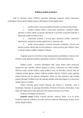 Politikos mokslo struktūra, metodologija bei funkcijos 6 puslapis