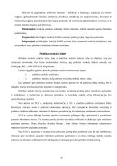 Politikos mokslo struktūra, metodologija bei funkcijos 10 puslapis
