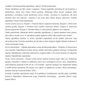Teisinis argumentavimas - konspektas