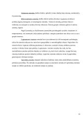 Politikos mokslo kilmė ir raida Lietuvoje 13 puslapis